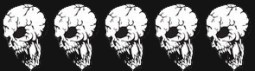 5 skulls skulls