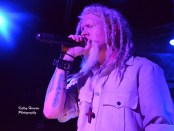 9 electric and gemini syndrome 2100