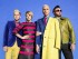 neon trees
