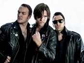 Calabrese - white background