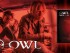 banner---owl